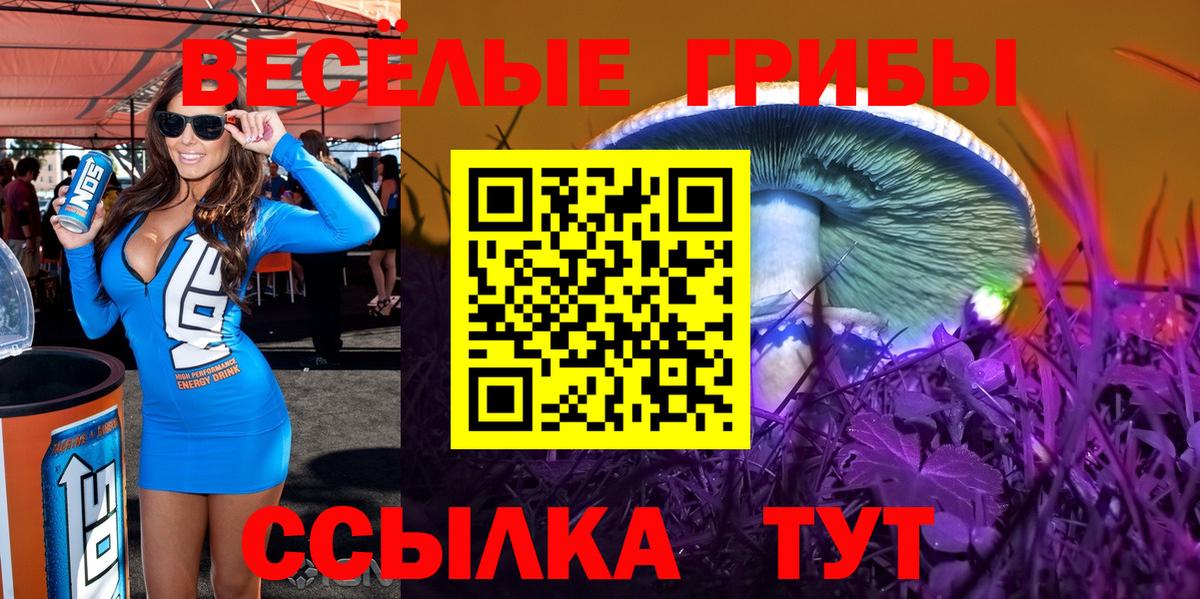 Псилоцибиновые грибы MAGIC MUSHROOMS Батайск